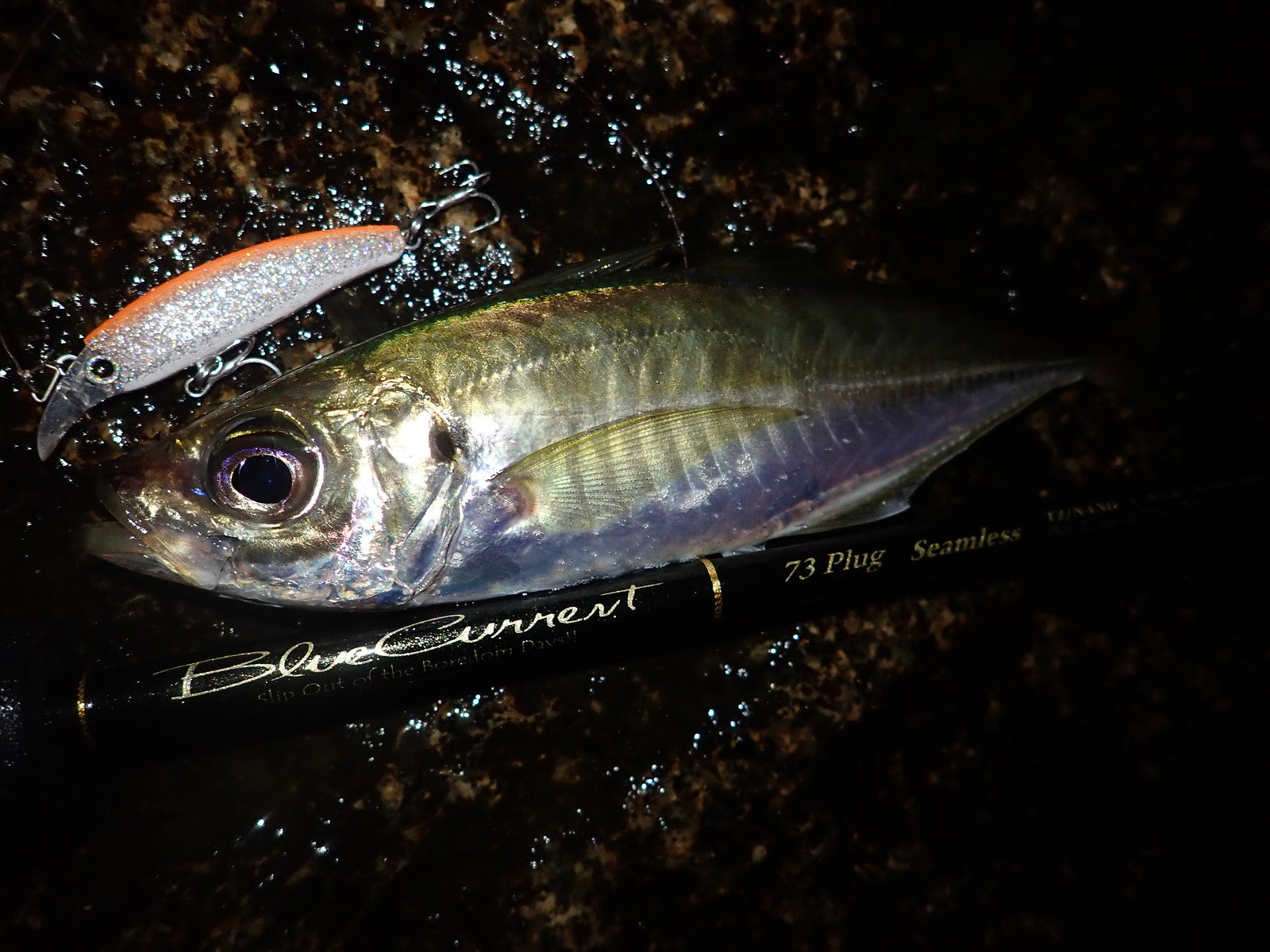 Yamaga Blanks Blue Current 73 All-Range Elite Ajing Rod NZ | 0.5