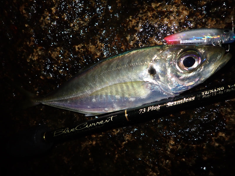 Yamaga Blanks - Blue Current 73All-Range TZ/Nano Elite Spinning Rod