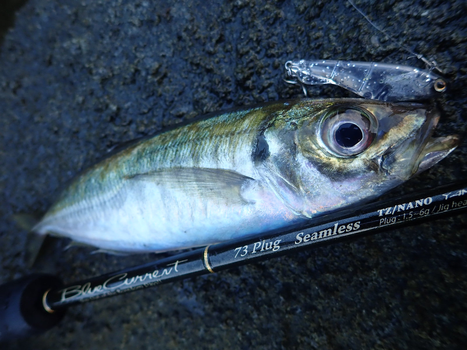 Yamaga Blanks Blue Current 73 All-Range Elite Ajing Rod NZ | 0.5