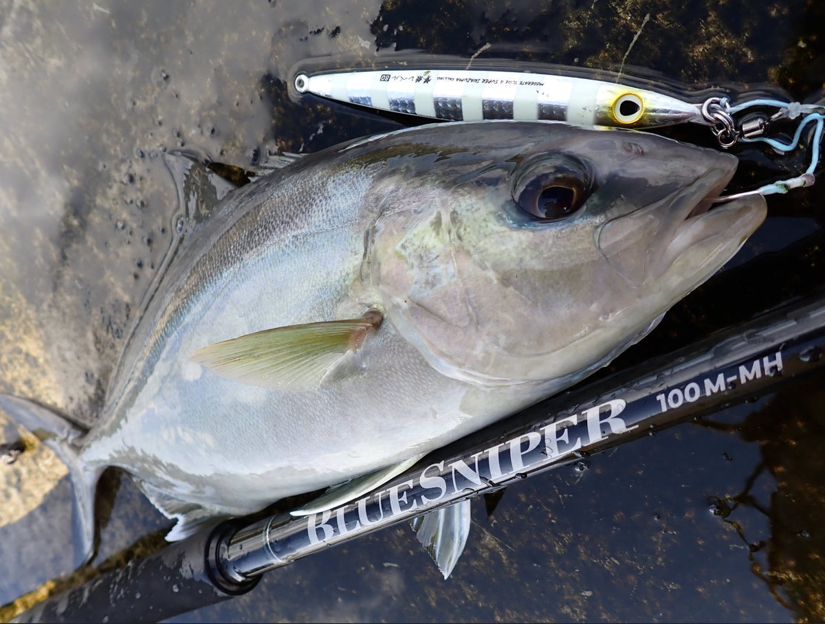 Yamaga Blanks Blue Sniper 100M-MH Topwater Rod NZ | Jig 120g PE4 