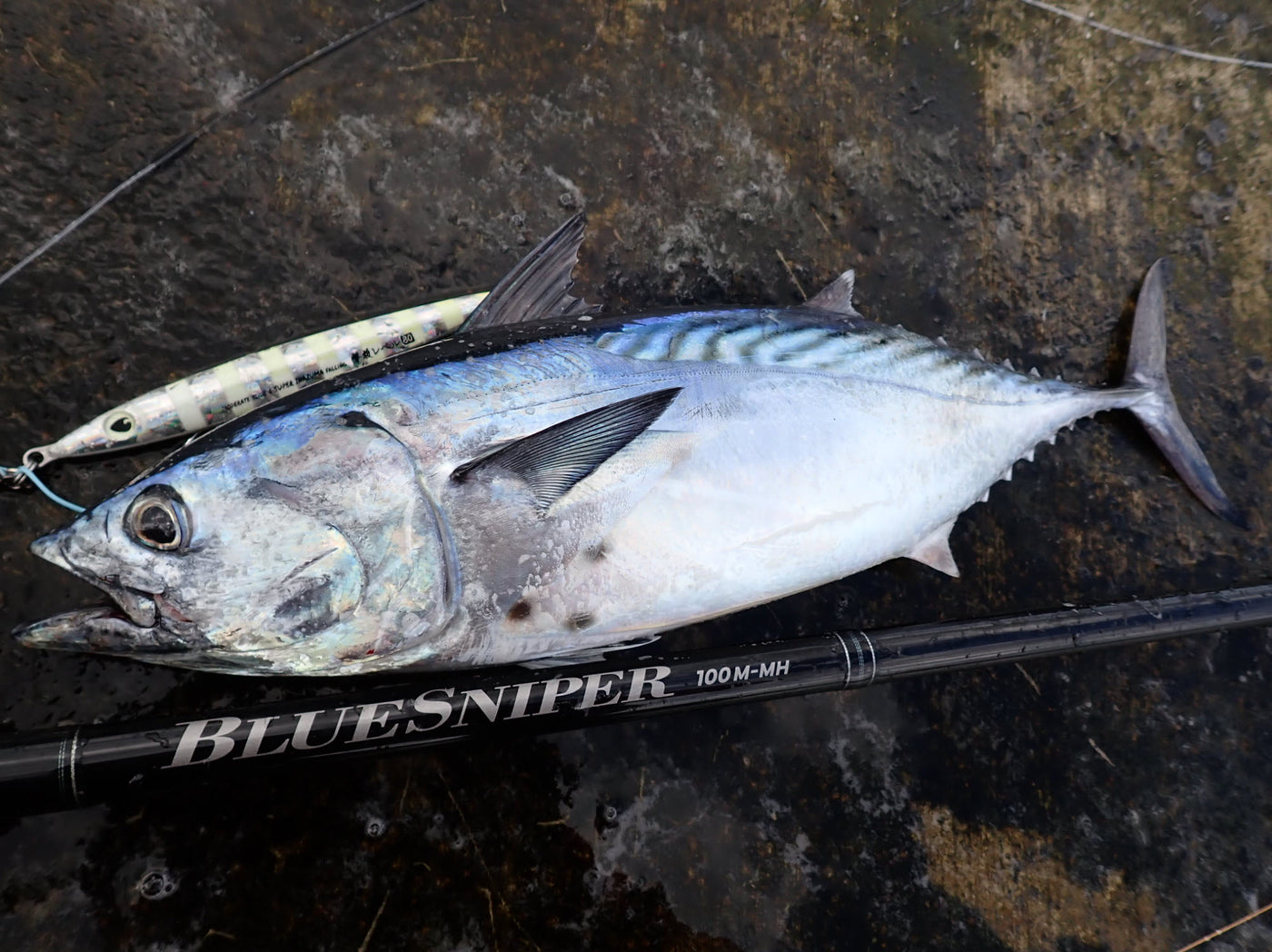 Yamaga Blanks - BlueSniper 100M-MH Topwater Rod