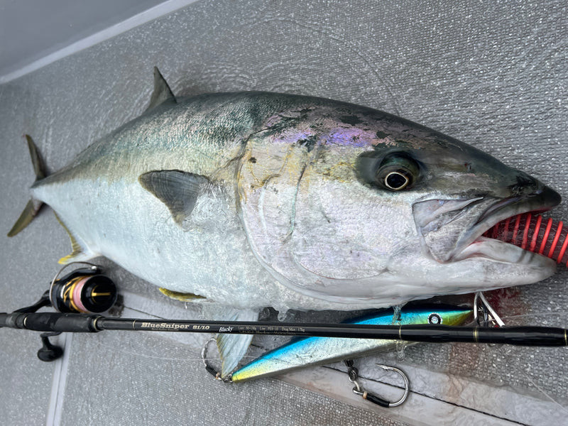 Yamaga Blanks - BlueSniper 81/10 Blacky Topwater Rod