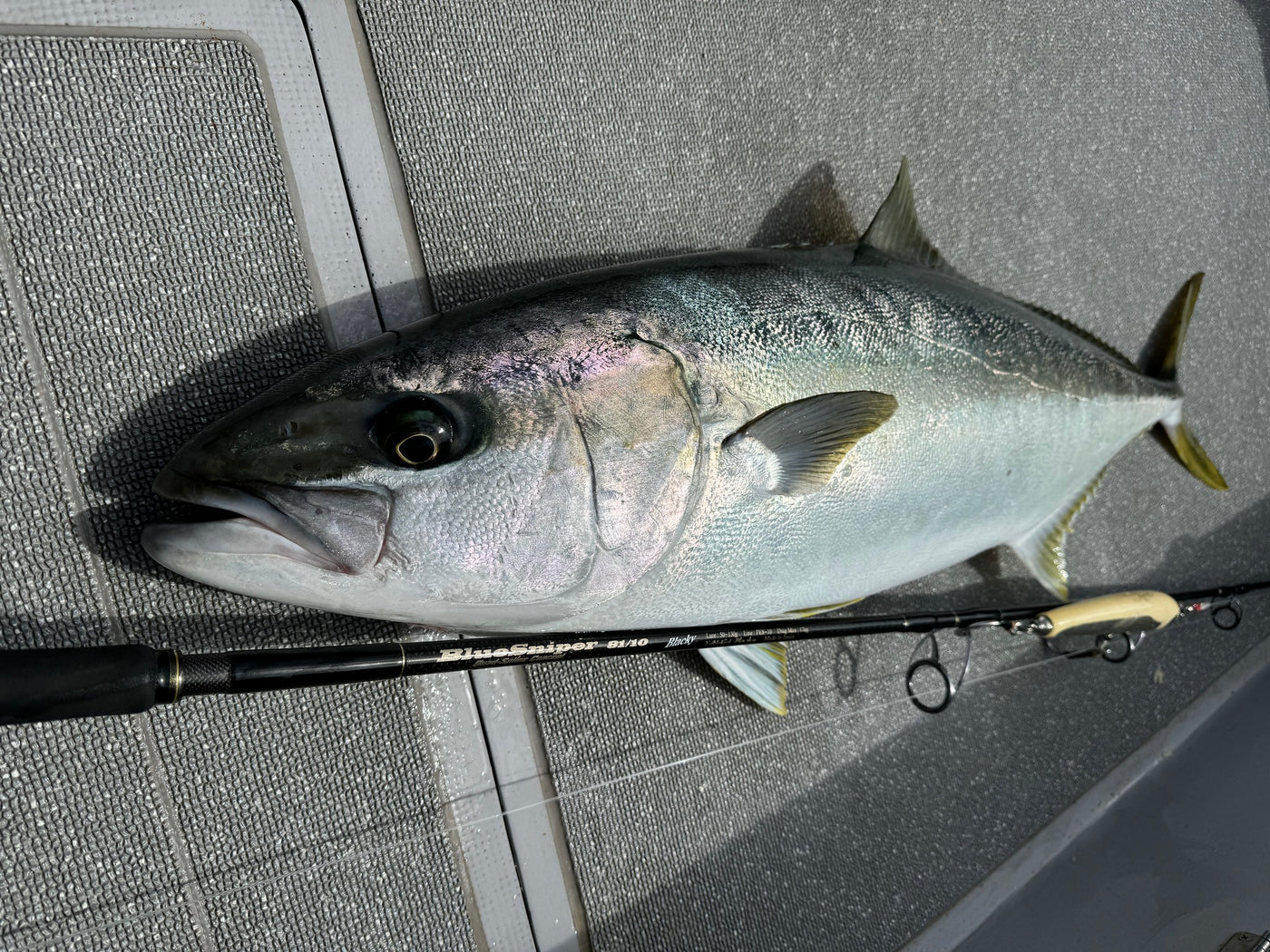 Yamaga Blanks - BlueSniper 81/10 Blacky Topwater Rod