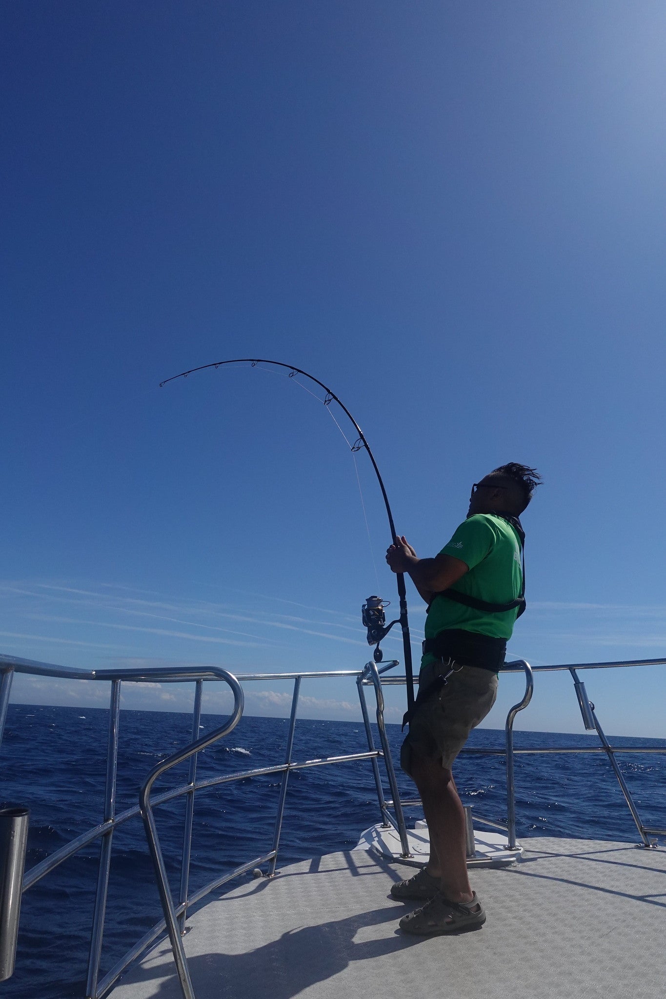 Yamaga Blanks - BlueSniper 81/10 Blacky Topwater Rod