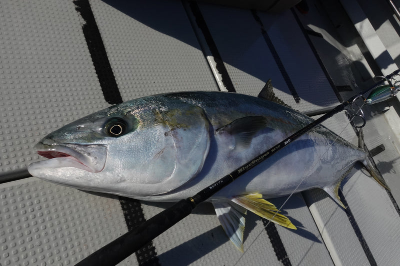 Yamaga Blanks - BlueSniper 81/10 Blacky Topwater Rod