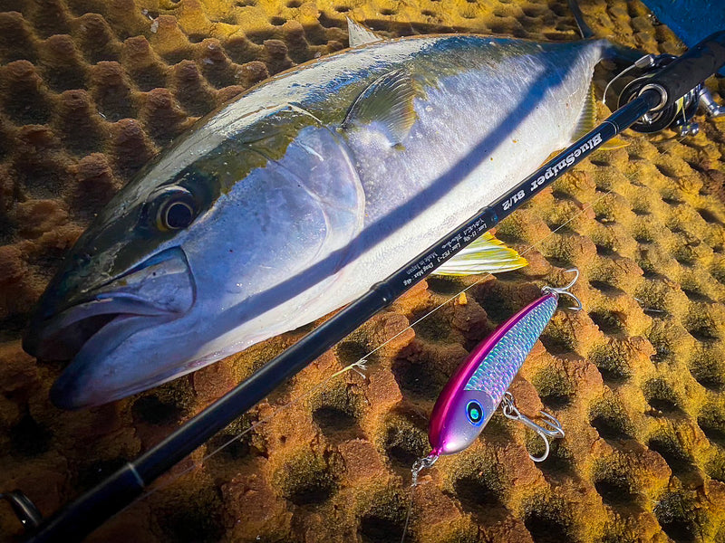 Yamaga Blanks - BlueSniper 81/2 Topwater Rod