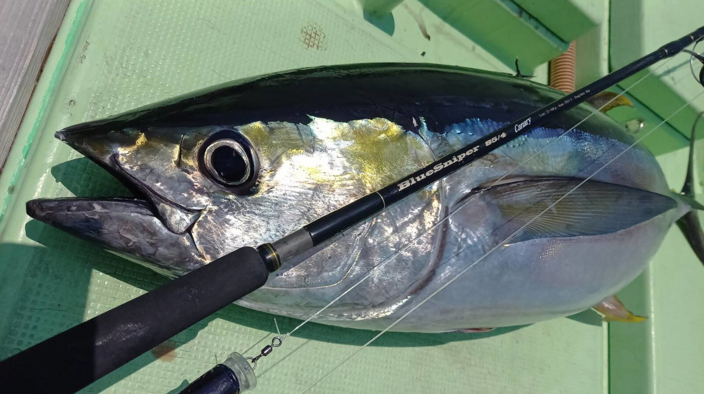 Yamaga Blanks - BlueSniper 85/4 Canary Topwater Rod