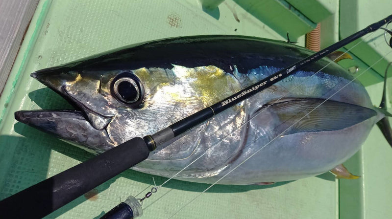 Yamaga Blanks - BlueSniper 85/4 Canary Topwater Rod