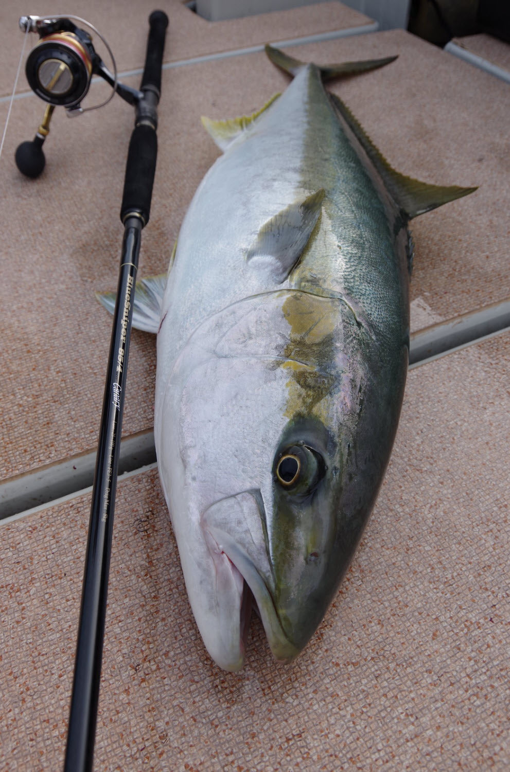 Yamaga Blanks Blue Sniper 85/4 Canary Tuna Rod NZ | 25-100g PE3-5
