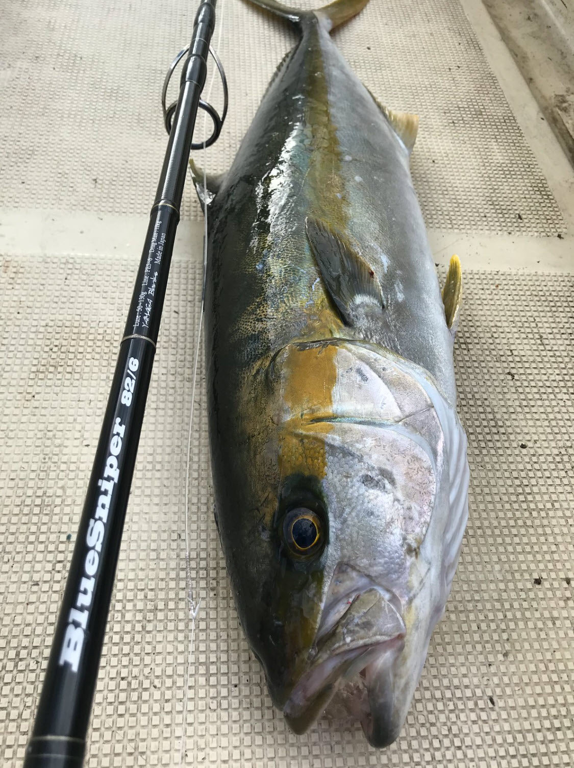 Yamaga Blanks Blue Sniper 82/6 Kingfish Rod NZ | 50-130g PE5-6