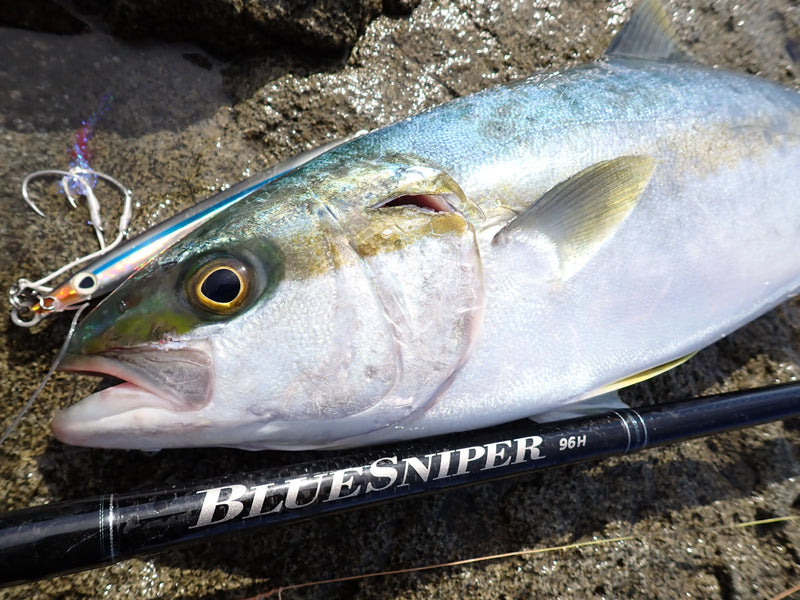 Yamaga Blanks - BlueSniper 96H Topwater Rod