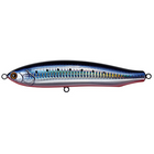 #8 Sardine Red Belly