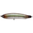 #20 Squid