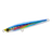 Sardine