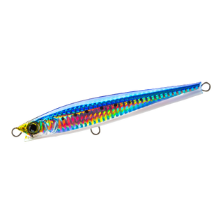 Sardine