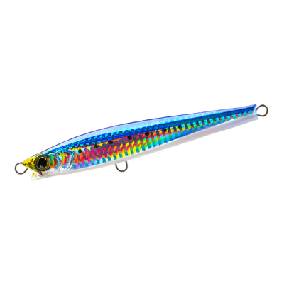 Sardine