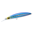 Sardine