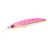Pink Sardine
