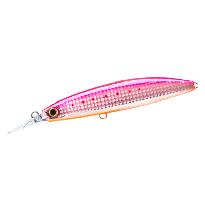 Pink Sardine