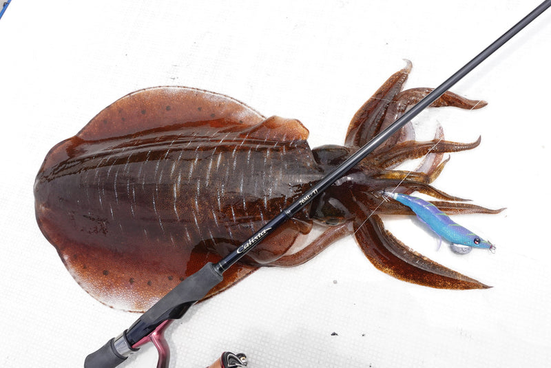 Yamaga Blanks - Calista 76ML/TJ Squid Rod