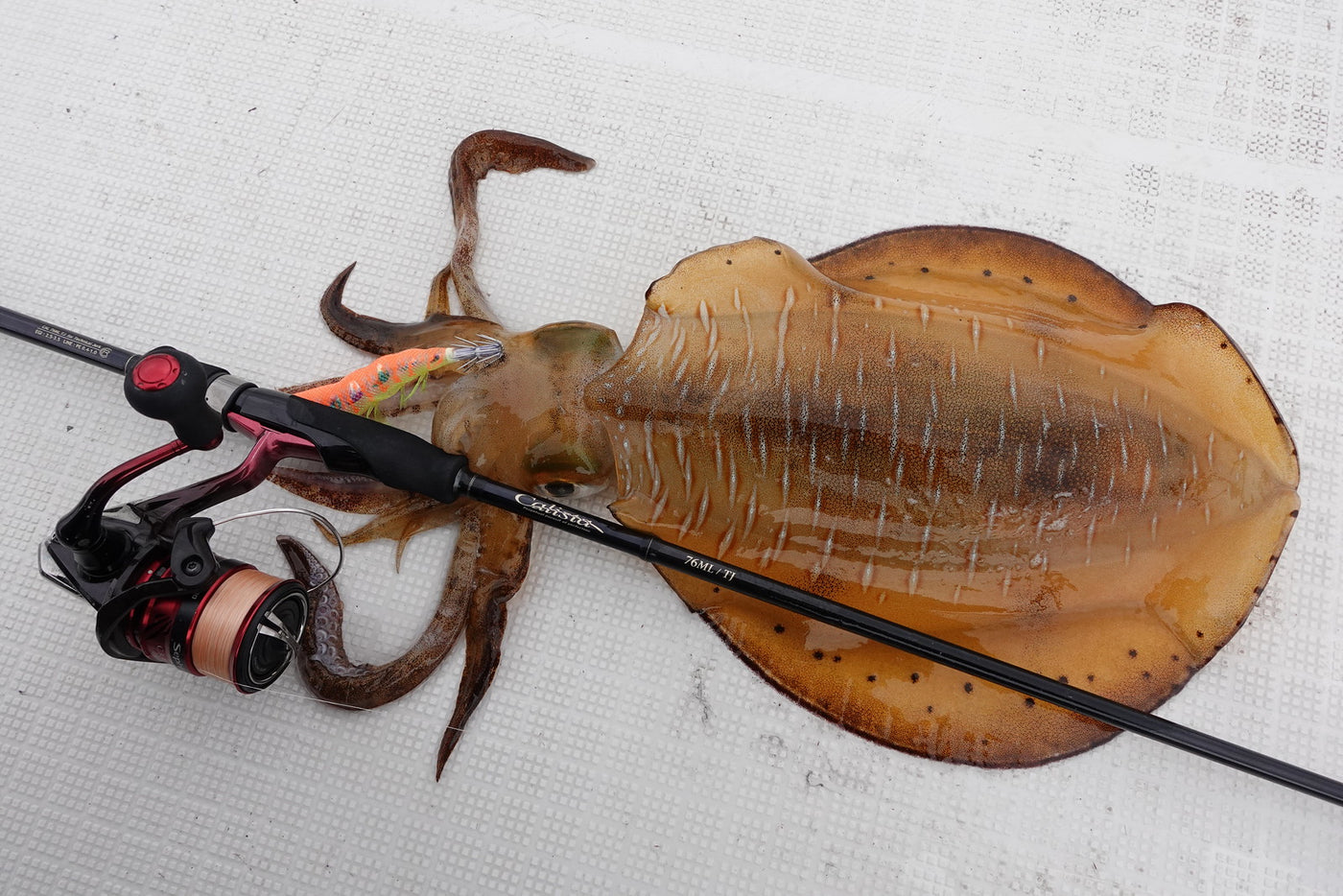 Yamaga Blanks - Calista 76ML/TJ Squid Rod
