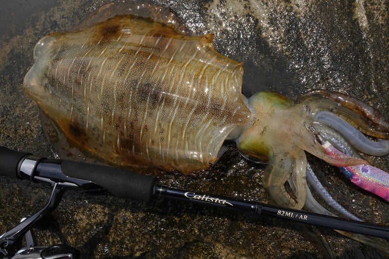 Yamaga Blanks - Calista 82ML/AR Squid Rod