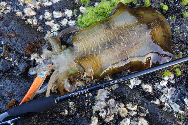 Yamaga Blanks - Calista 82ML/AR Squid Rod