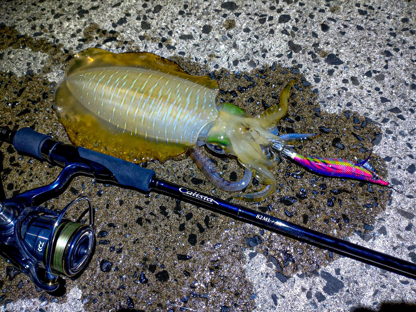 Yamaga Blanks - Calista 82ML/AR Squid Rod