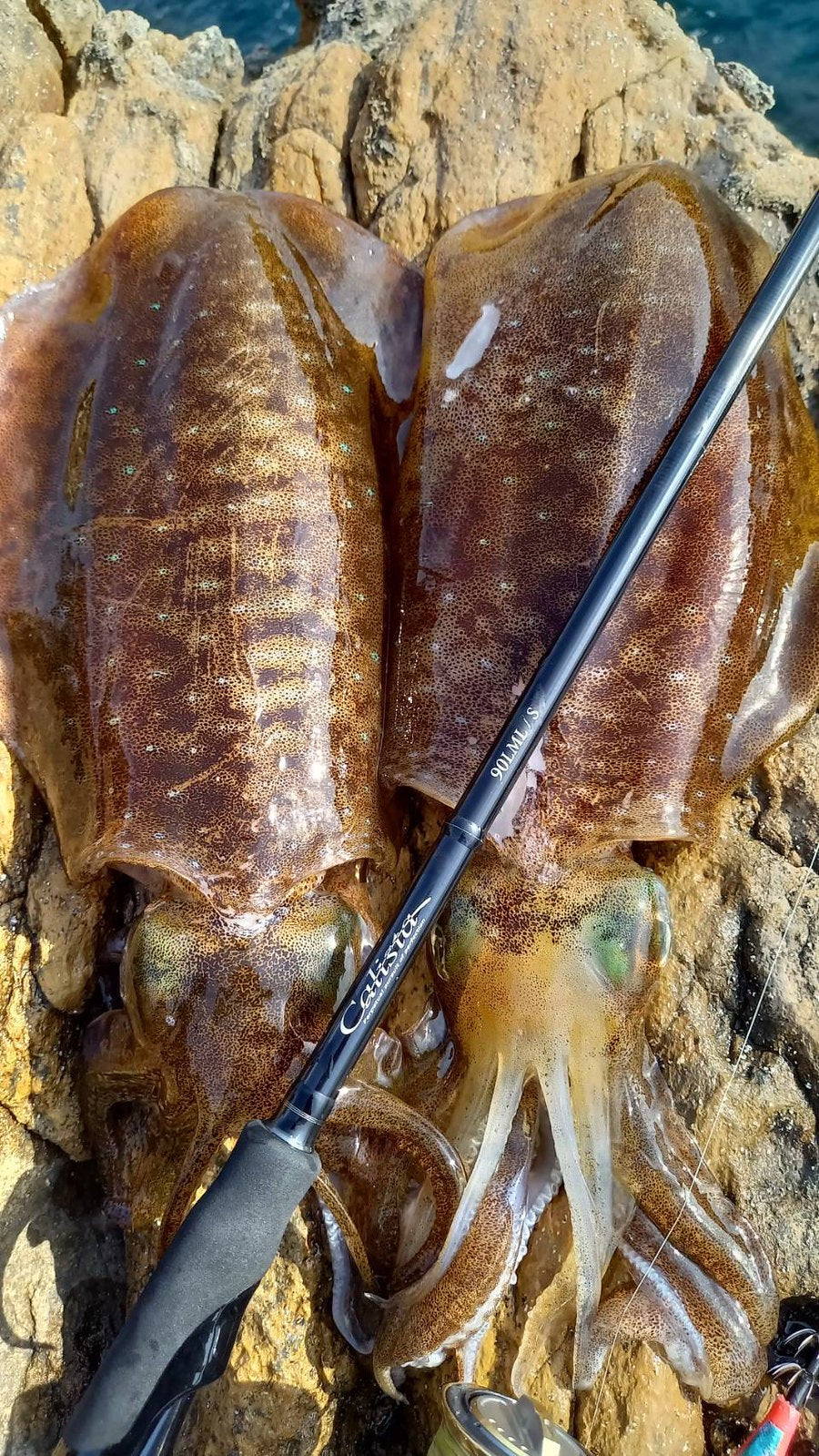 Yamaga Blanks - Calista 90LML/S Squid Rod
