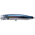 #13 Tuna
