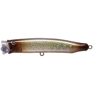 #20 Squid