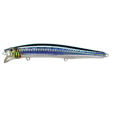 #9 Sardine