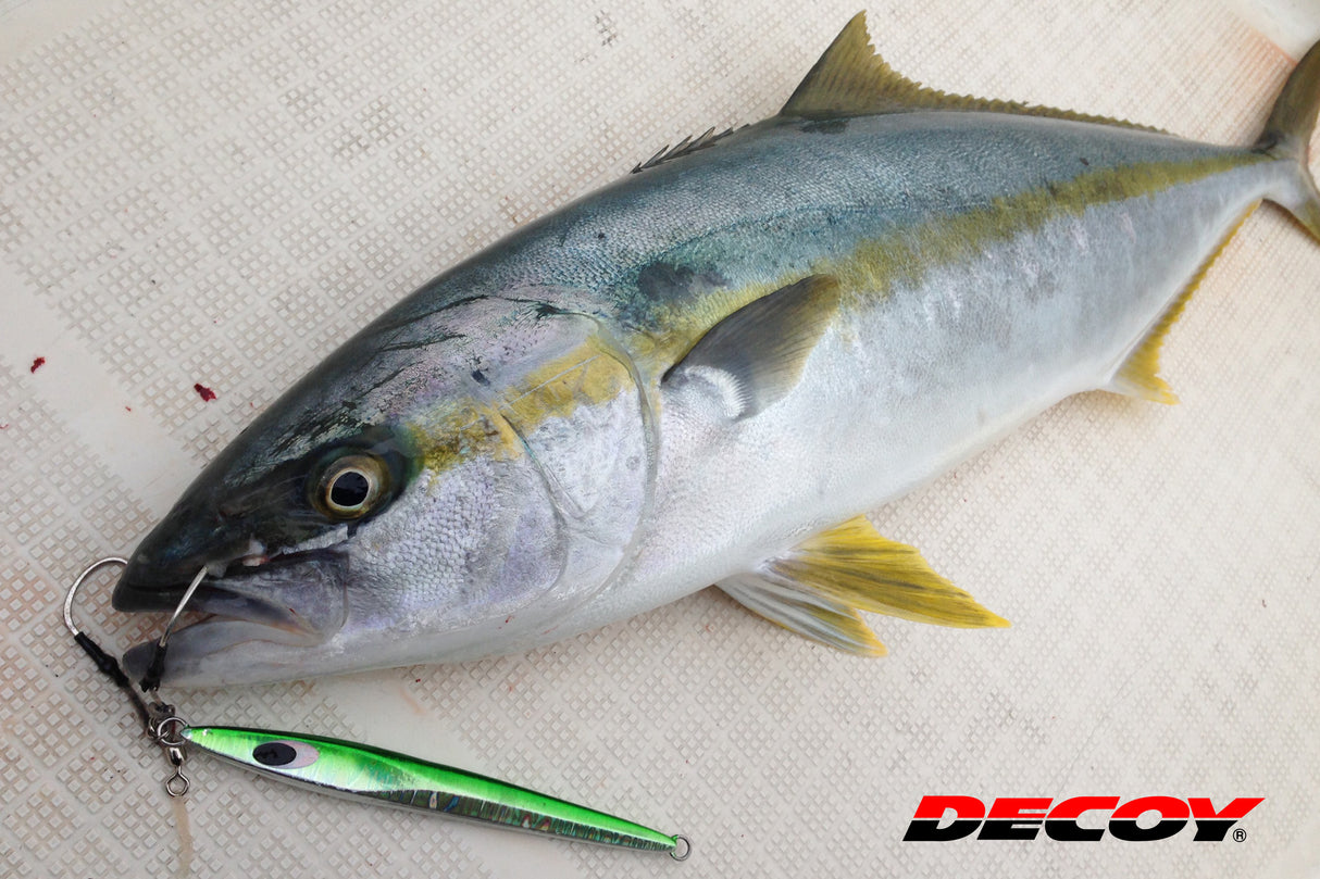 Decoy - Twin Pike