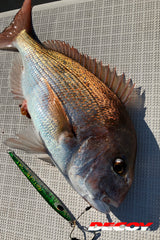 Decoy - Twin Pike