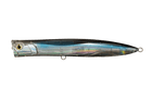 B49D (005)