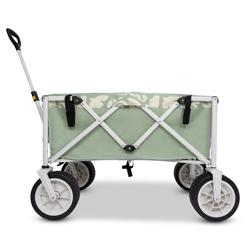 LiFE! - Eden Delmar Beach Cart