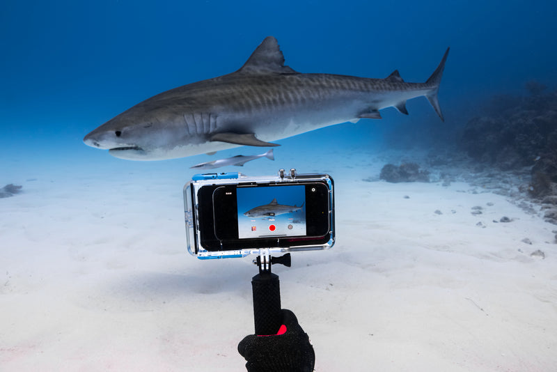 Pro Shot - Dive iPhone Housing