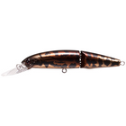 #9 Black Loach