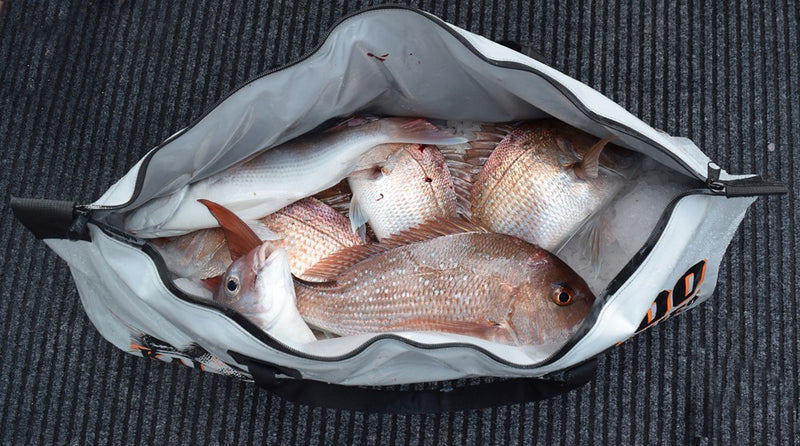 Hutchwilco - Kai Cooler 1200 Series Insulated Fish Catch Bag