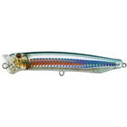 #6 Halfbeak