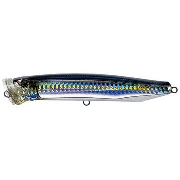 #11 Pacific Saury