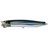 #11 Pacific Saury