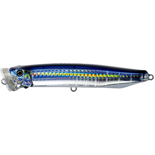 #13 Tuna