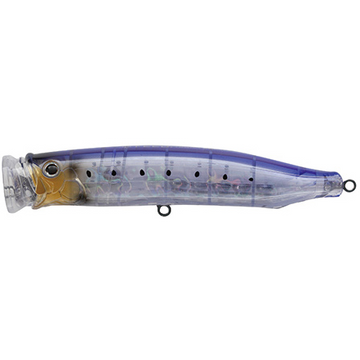 #19 Clear Sardine