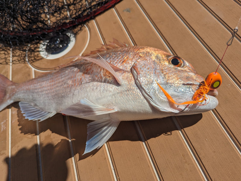 Hayabusa Free Slide VS+ Slider - Premium Tairaba Jig Head | NZ Fishing ...