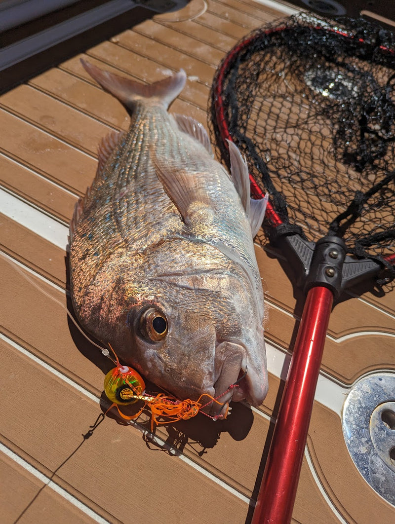 Hayabusa Free Slide VS+ Slider - Premium Tairaba Jig Head | NZ Fishing ...