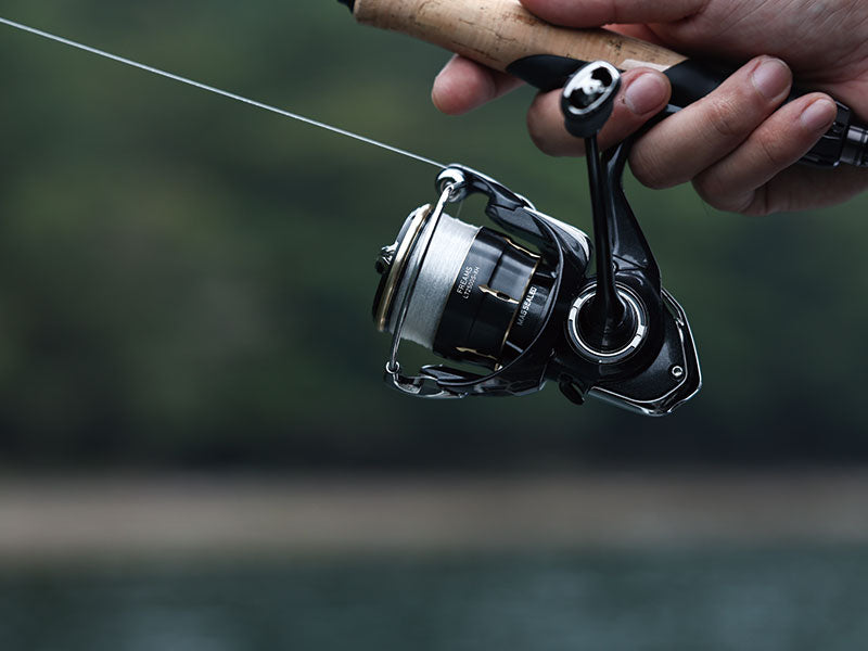 Daiwa - 26 FREAMS LT2000S-P