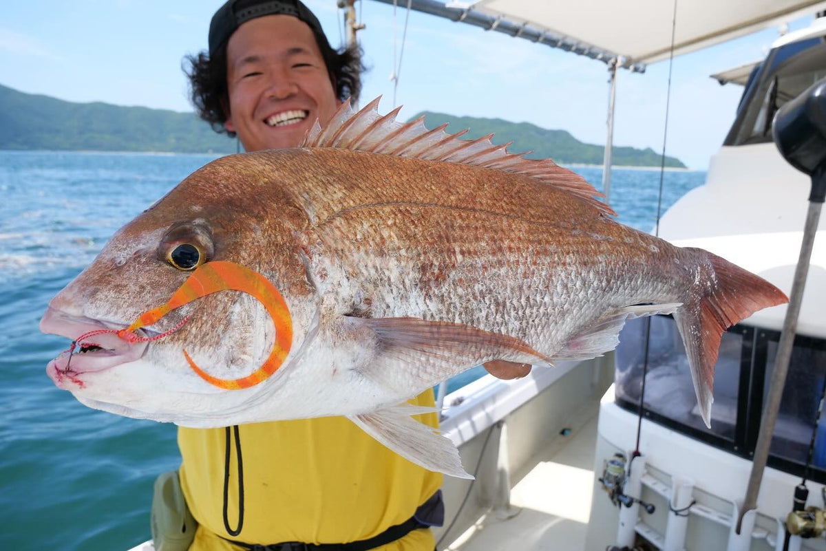 Snapper caught on a Hayabusa Free Slide
