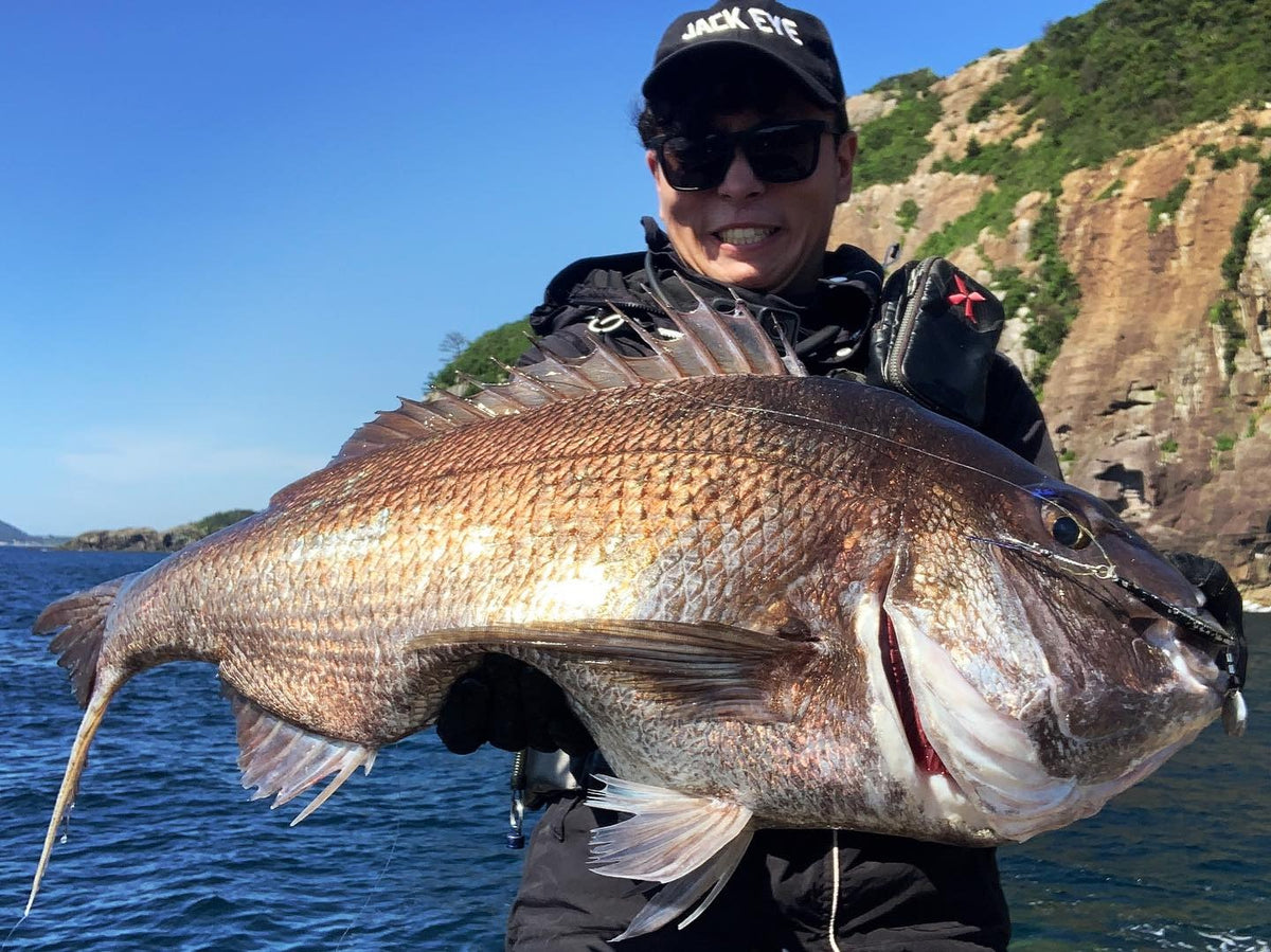 Big snapper caught on a softbait