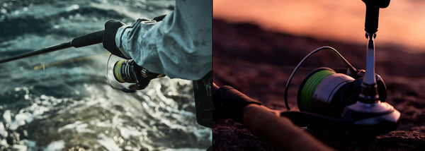 Shimano vs Daiwa guide